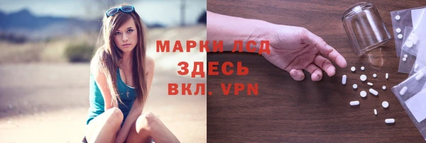 гидра Володарск