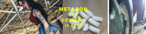 шишки Корсаков