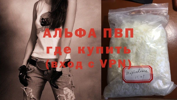 бошки Гусев