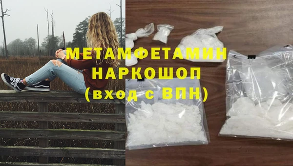 сатива Волосово