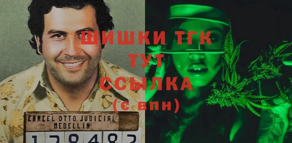 винт Гусь-Хрустальный