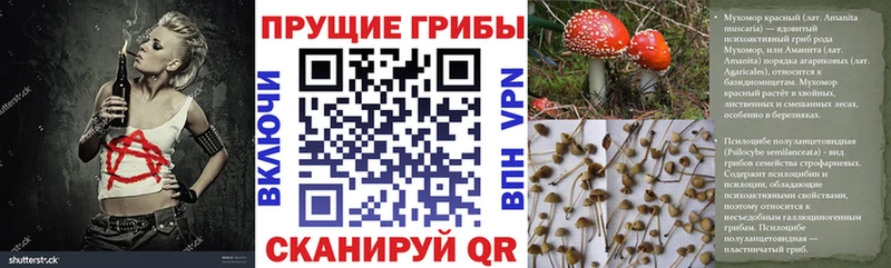 где найти наркотики  Дагестанские Огни  Псилоцибиновые грибы Magic Shrooms 